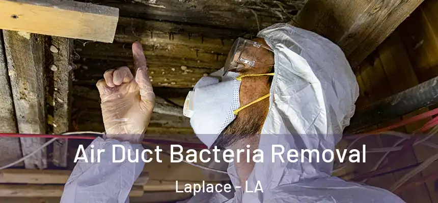  Air Duct Bacteria Removal Laplace - LA