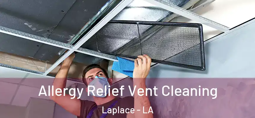  Allergy Relief Vent Cleaning Laplace - LA