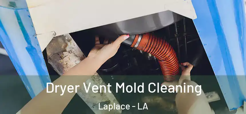  Dryer Vent Mold Cleaning Laplace - LA