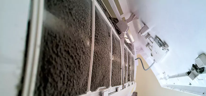 Preventive Air Duct Bacteria Removal in Laplace