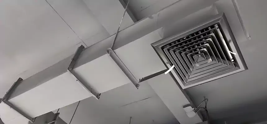 Our Pest Removal From Ducts Services in Laplace, LA