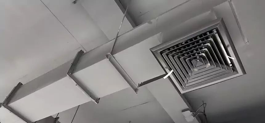 Our Rodent Droppings In Vents Services in Laplace, LA