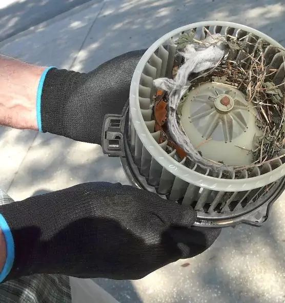 About Air Duct Mice Removal in Laplace, LA