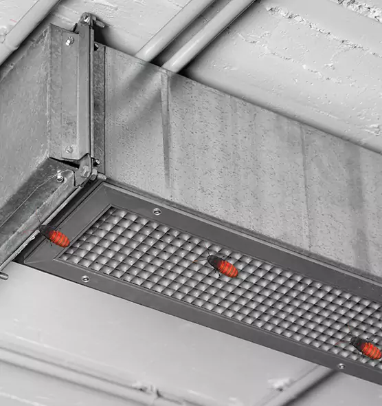 Affordable Insect Removal from Air Ducts in Laplace, LA