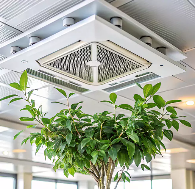 Why Homeowners & Businesses Trust Us in Laplace, LA?