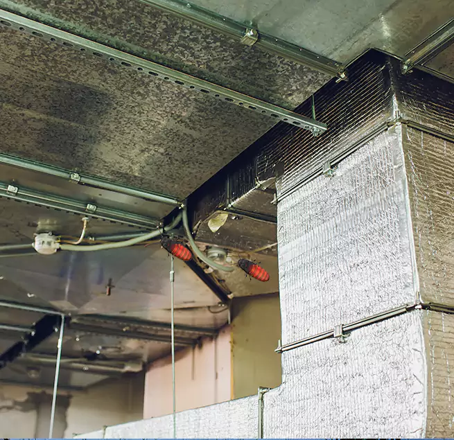 Why Homeowners & Businesses Trust Us Laplace, LA?