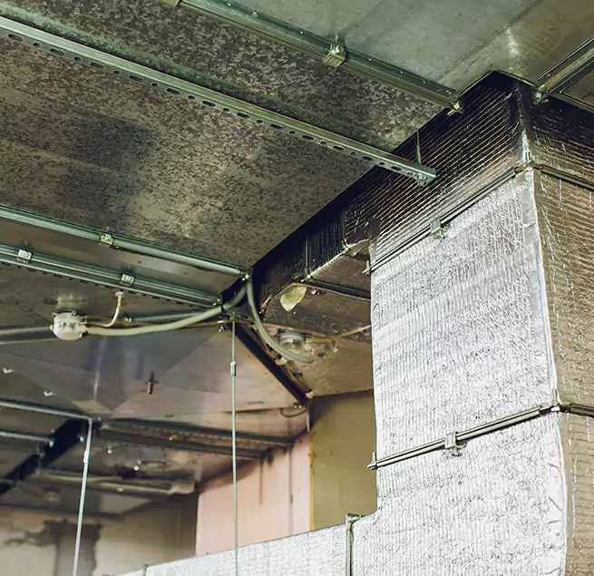 Why Homeowners & Businesses Trust Us in Laplace, LA?